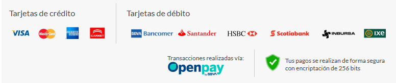 Pago en Openpay